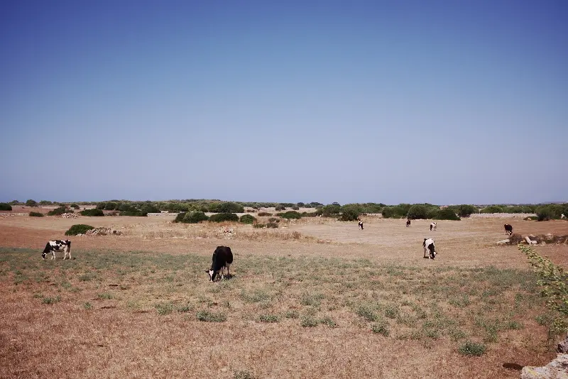 Menorca