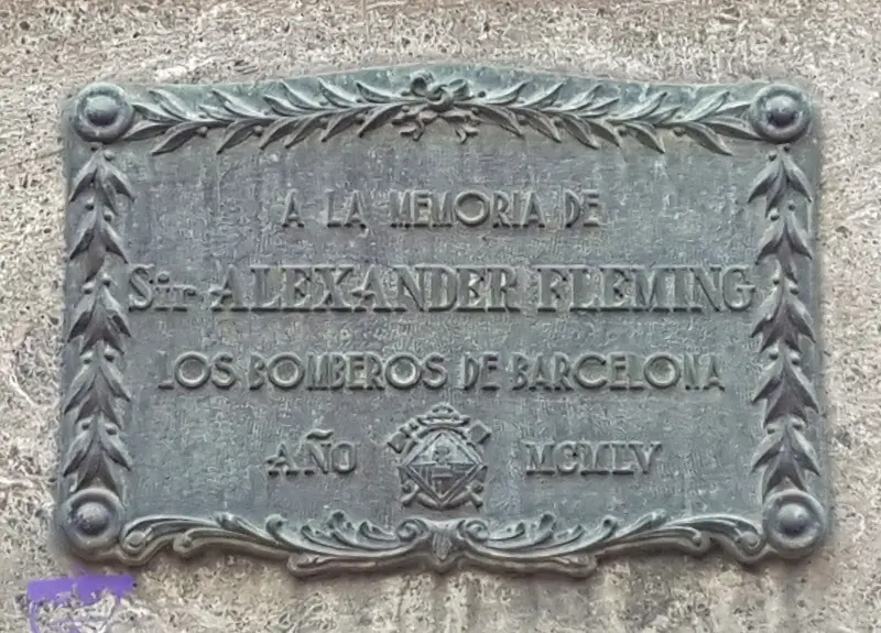 Anfiteatre anatòmic segle XVIII