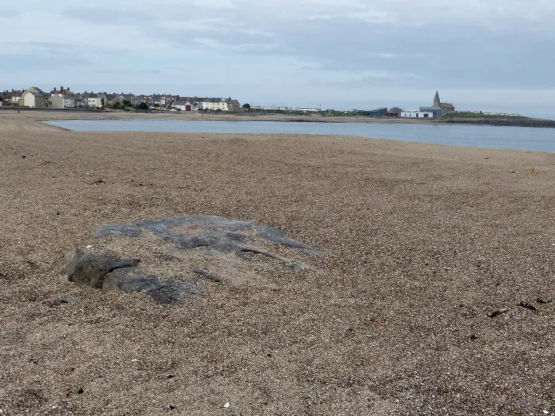 Newbiggin Beach