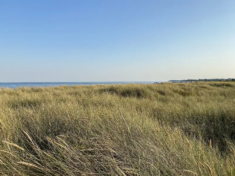 Weidefelder Strand