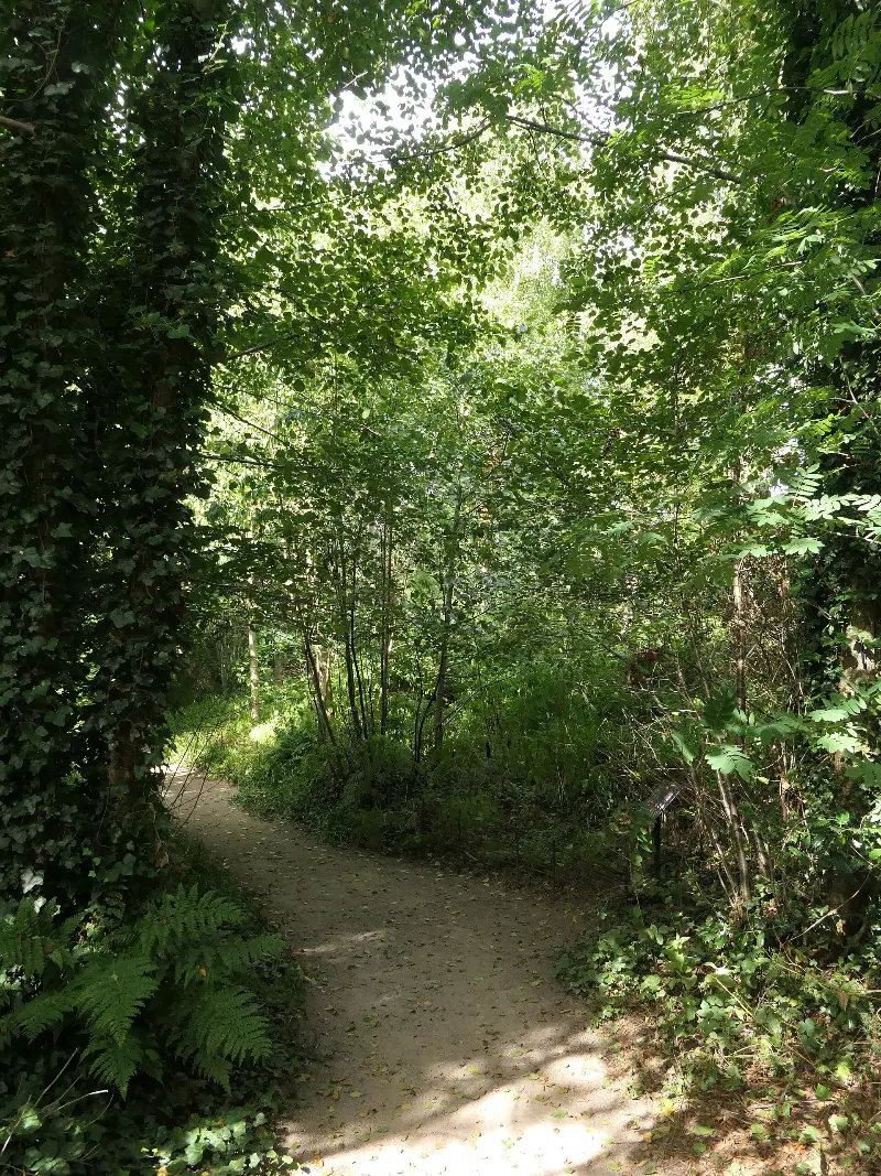 Scottish Heath Garden