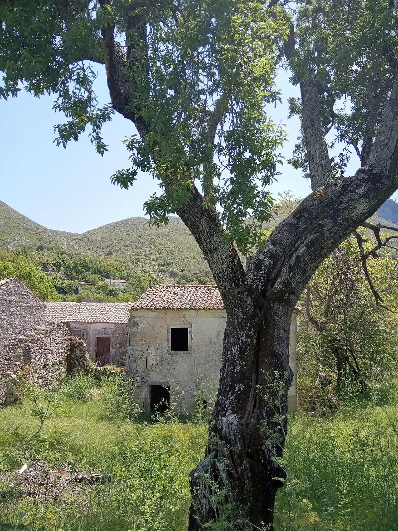 Παλιά Περίθεια