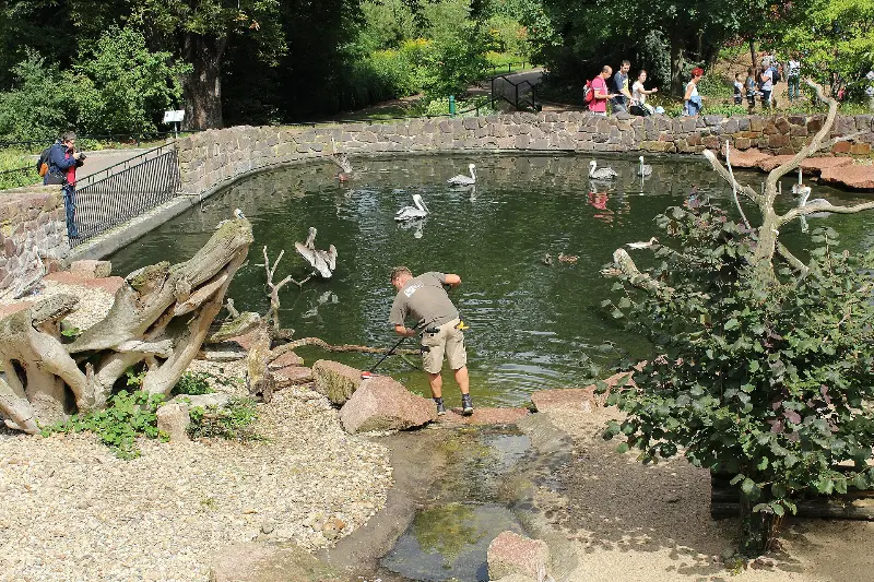 Bergzoo Halle