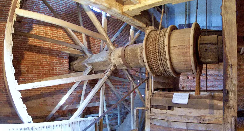 Donkey Wheel Well