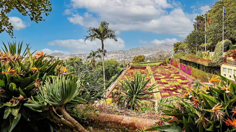 Jardin Botanique de Madère