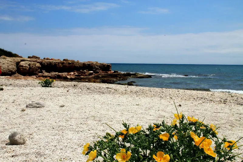 Platja del Barranc d'Irta
