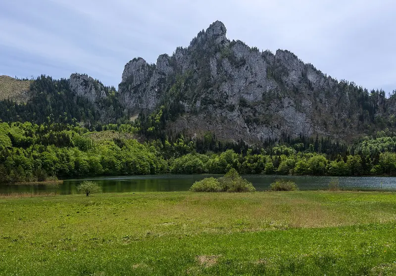 „Katzenstein“