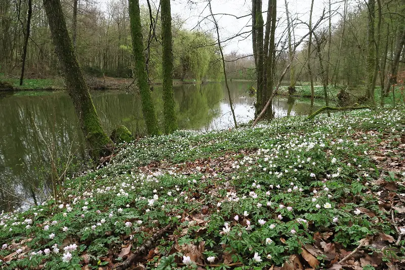 Barfußpfad Ötisheim