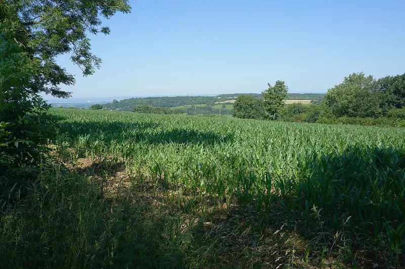 Blackquarries Hill long barrow