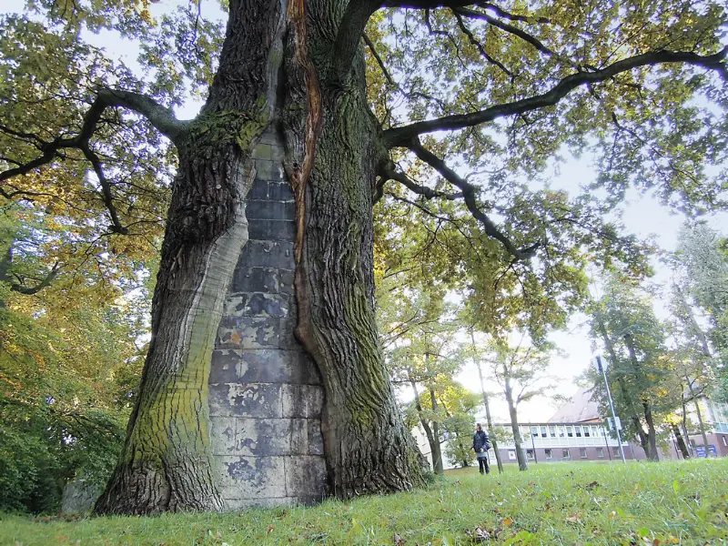 Platnersberg (Nürnberg)
