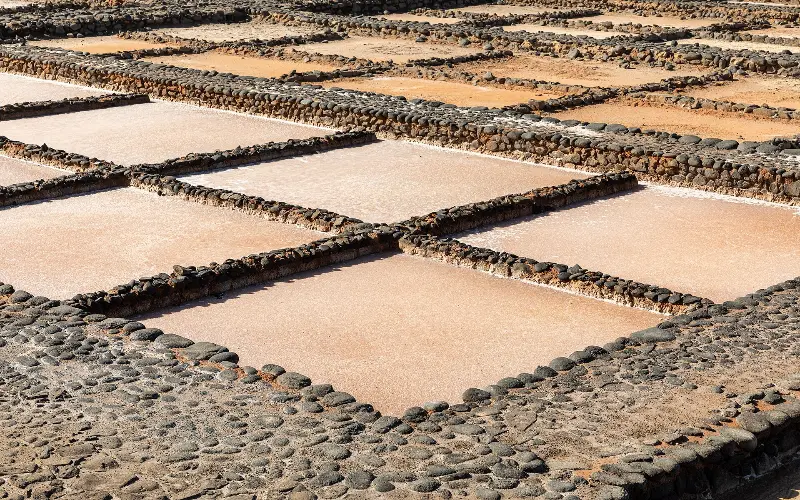 Las Salinas