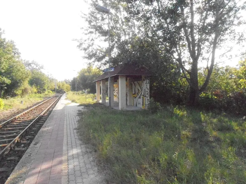 Szűz Mária templom romja