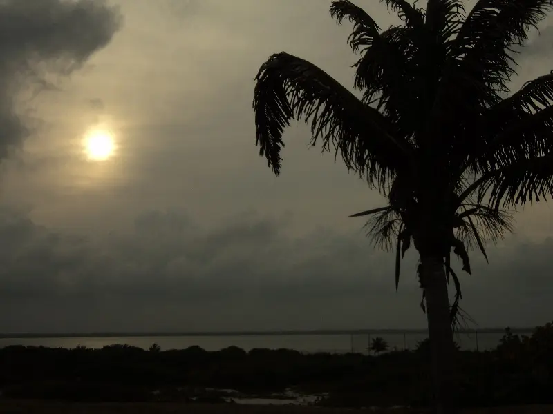 Playa Delfines