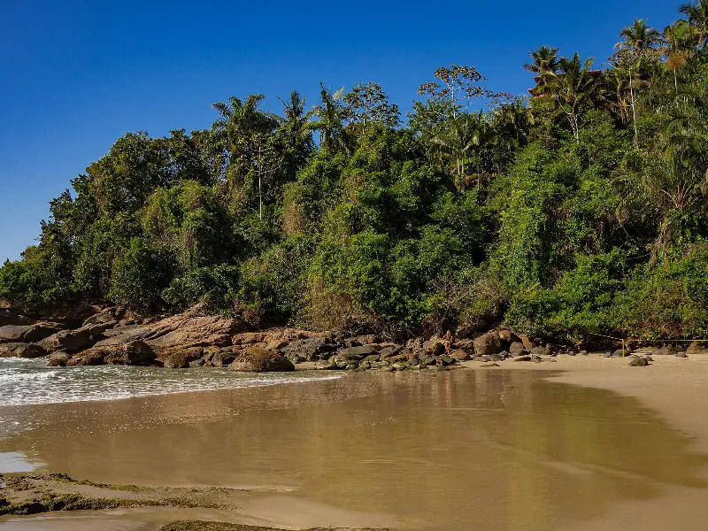 Tropical Beach