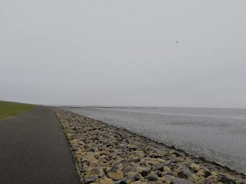 Hundestrand