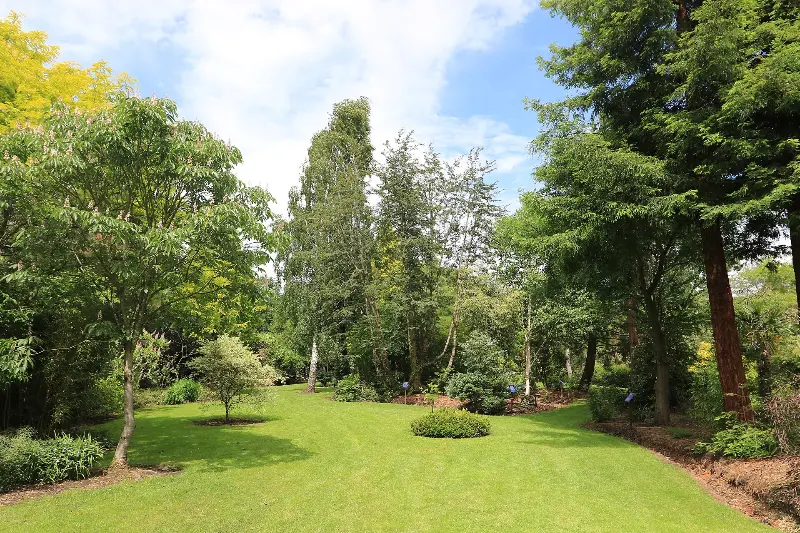 Bluebell Arboretum