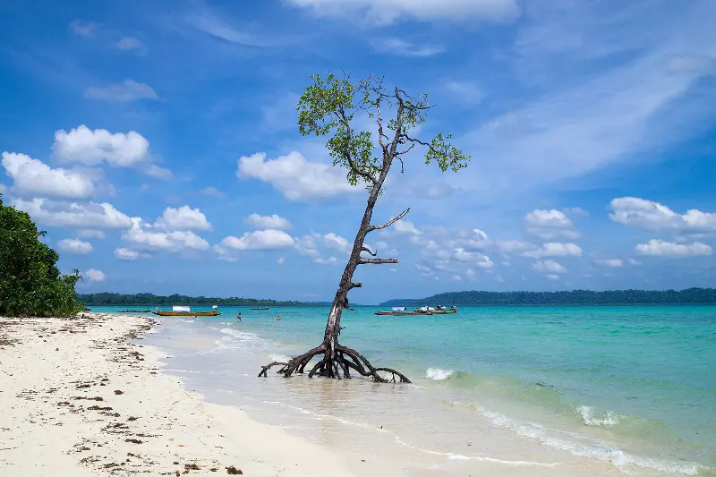 The Beach