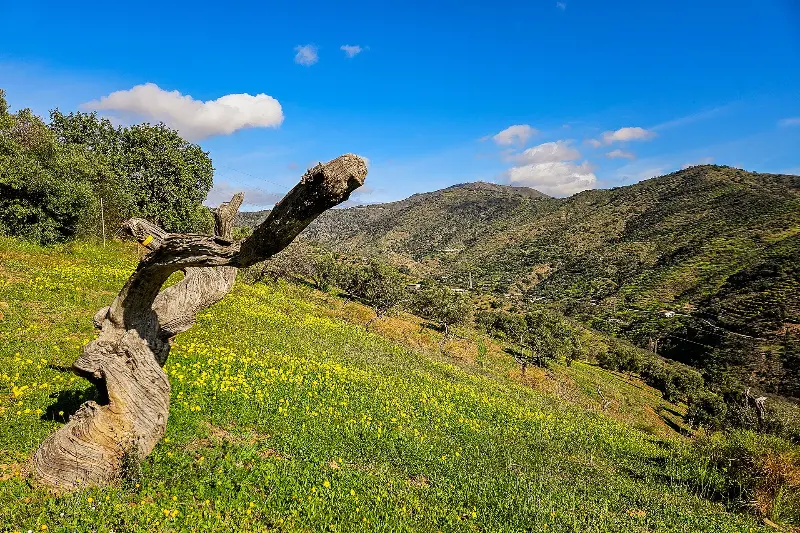 Dolmen Cerro de la Corona