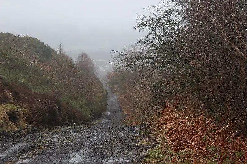 Cwm Dar Gravity Family Bike Park