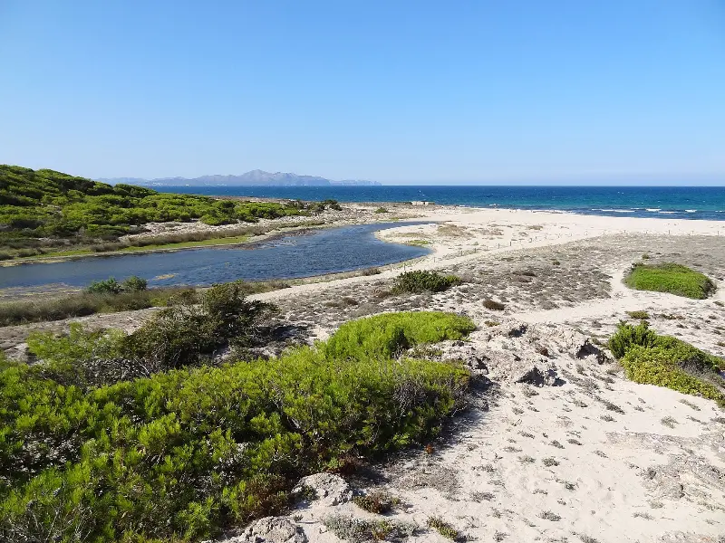 Platja de Santa Margalida
