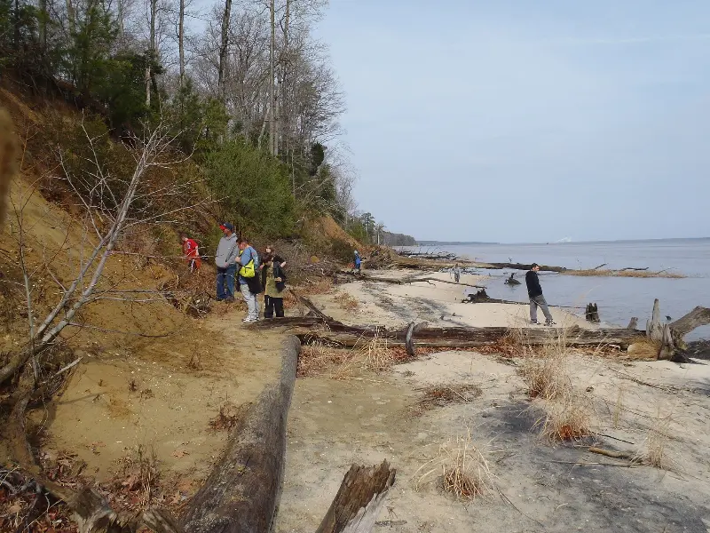 Fossil Beach