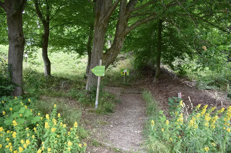 Bienenlehrpfad