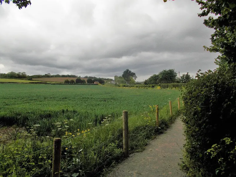 Doniford Farm Park