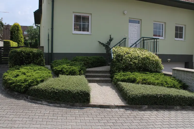 Contemporary Garden
