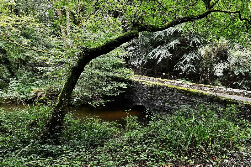 Carnglaze Caverns