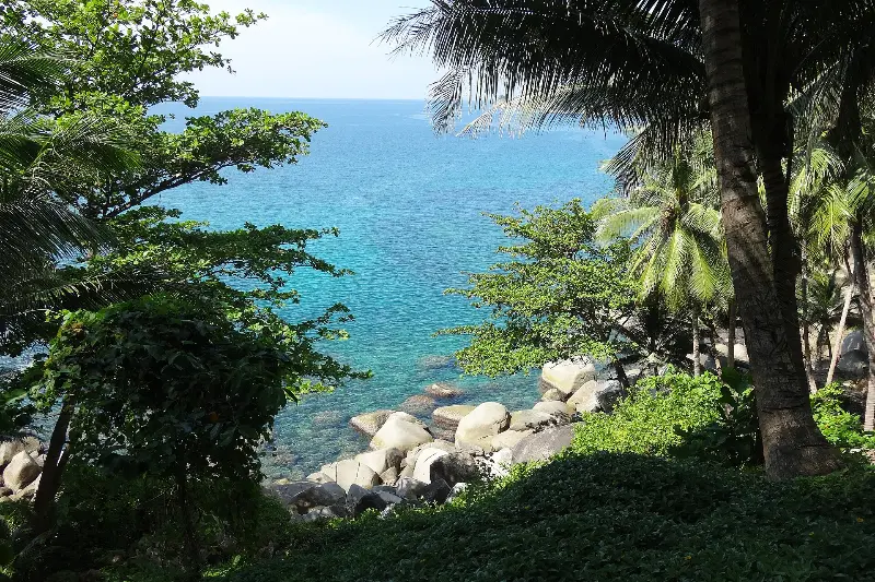 Bamboo Beach