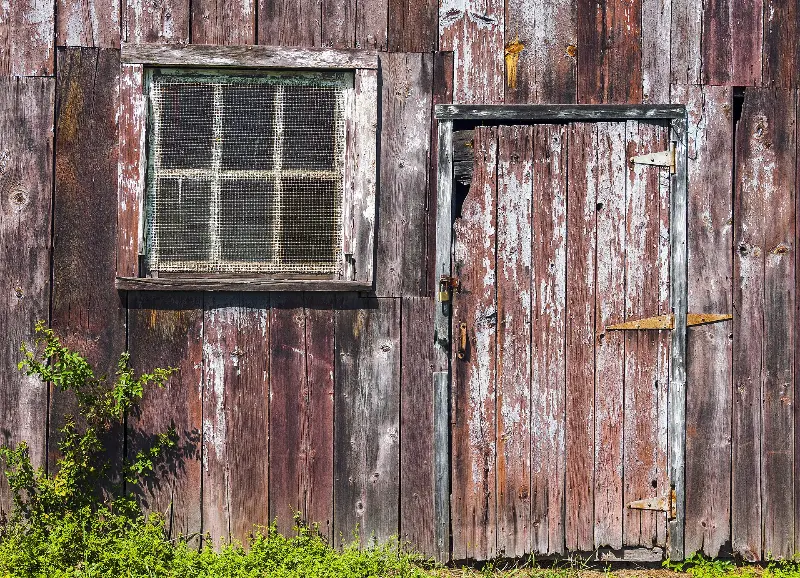 BackDoor