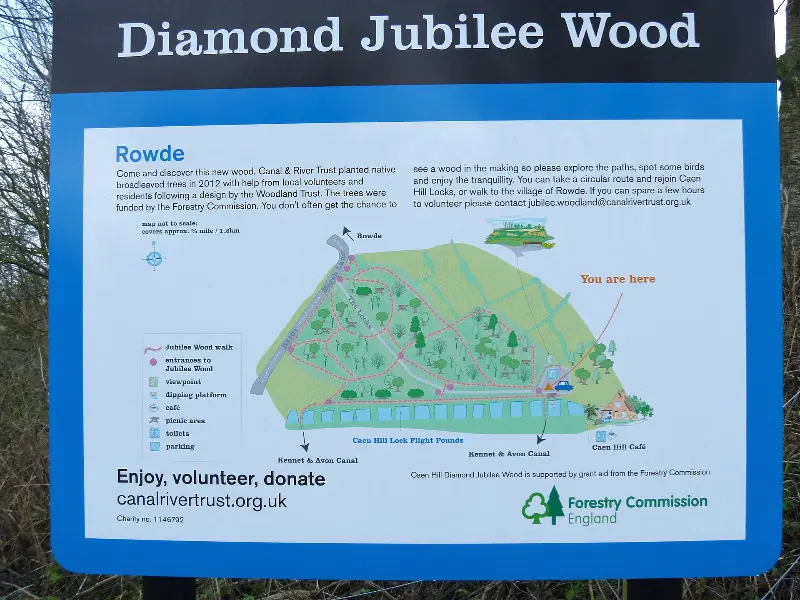 Diamond Jubilee Wood