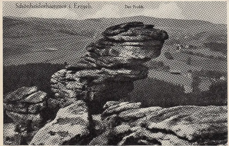 Der Frosch