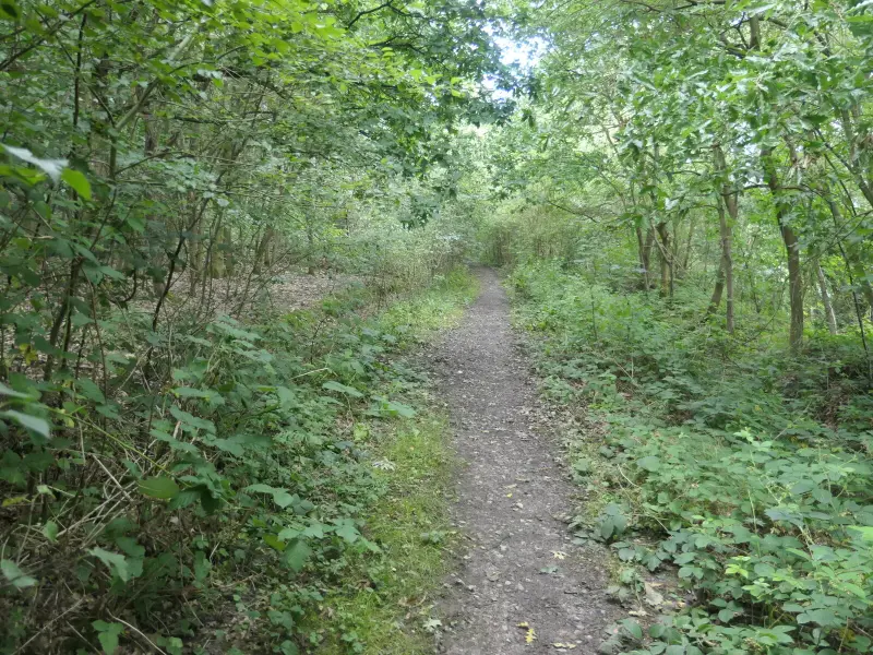 Haigh Woodland Park