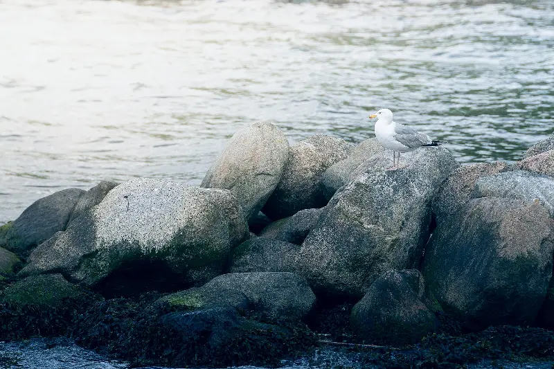 Mönkeberger Strand