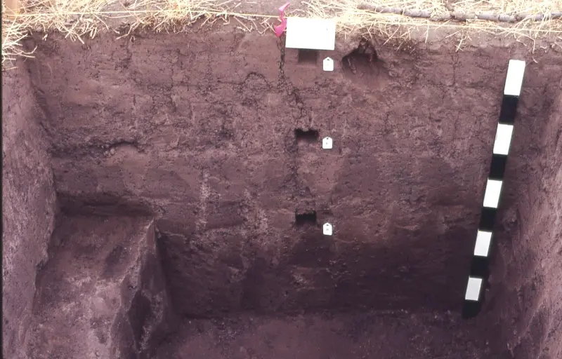 Geological Excavation