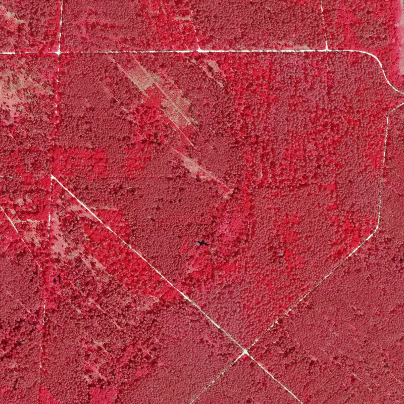 Arnolddenkmal