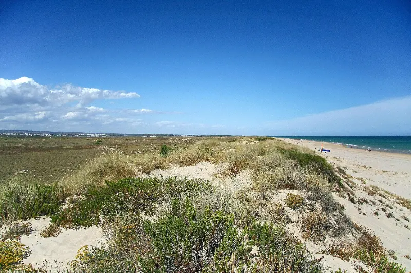 Praia da Terra Estreita