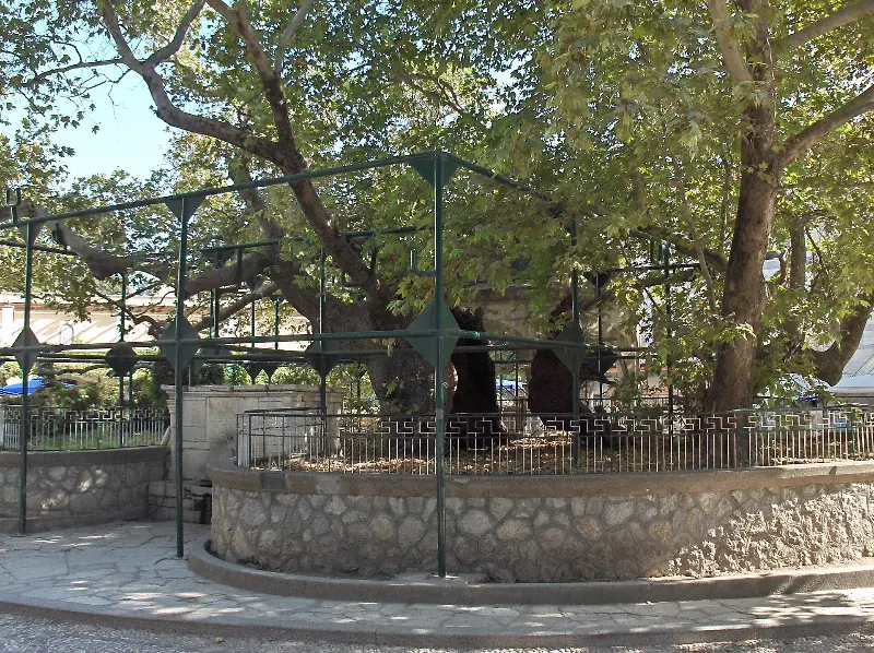 Παραλία Άγιος Σπυρίδωνας